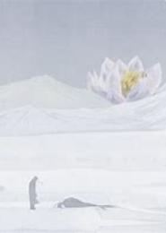 月明沧海泪