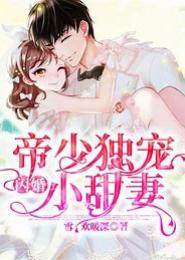 一夜错情惹上小甜妻