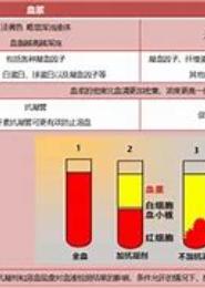 谁留下的血