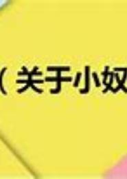 残夫：替身小奴婢