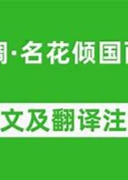 倾国难相欢