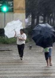 风雨殇