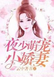 夜迷情：圈养小娇妻