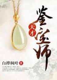 天才鉴宝师