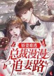 总裁艰难追妻路