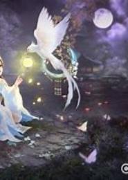 萌宠江湖