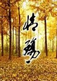 情殇