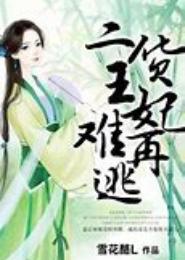 极品二货妃