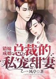 错爱总裁·老婆，别悔婚