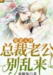 前夫，后会无妻