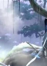 爱上魔教主