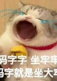 帝夫难求