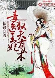 极品盗妃驭夫术
