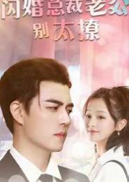 闪婚夺爱，总裁老公别碰我