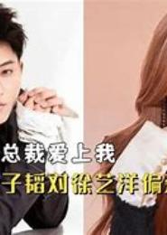 明星总裁让我爱