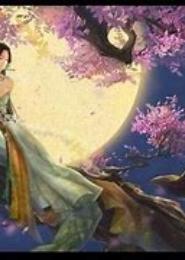 大金王妃之烈瑶恋