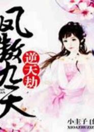 凤傲九天之夫君难追