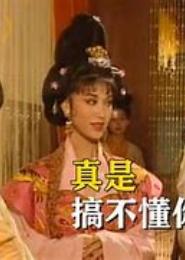 情有独钟之只要妾不要妃