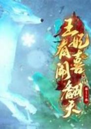 恭喜王爷之王妃有喜啦