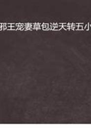 邪王宠妃，草包五小姐