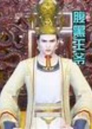 摄政王的腹黑公主妃