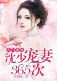 名门盛宠之辰少的小妻