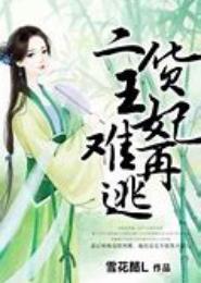 二货王妃难再逃