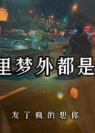 梦里梦外只爱你