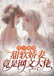 沈少的合约妻
