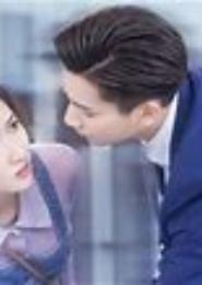 契婚之婚后萌宠