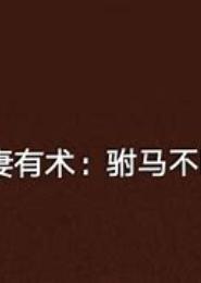 首席CEO，驭妻有速
