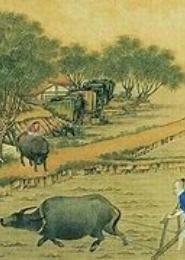 废后的一亩三分地